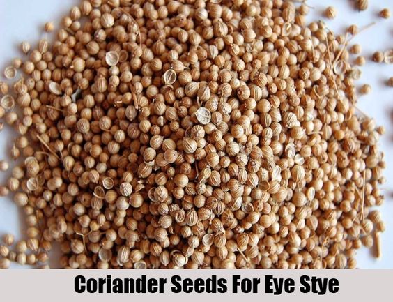  Coriander Seeds